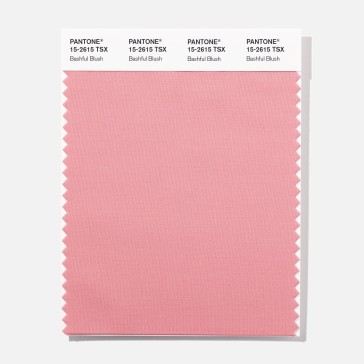 Pantone 15-2615  TSX  Bashful Blus Polyester Swatch Card