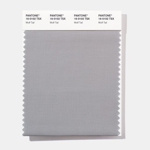 Pantone 16-0102 TSX Wolf Trail Polyester Swatch Card
