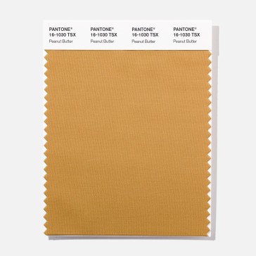Pantone 16-1030  TSX  Peanut Butte Polyester Swatch Card