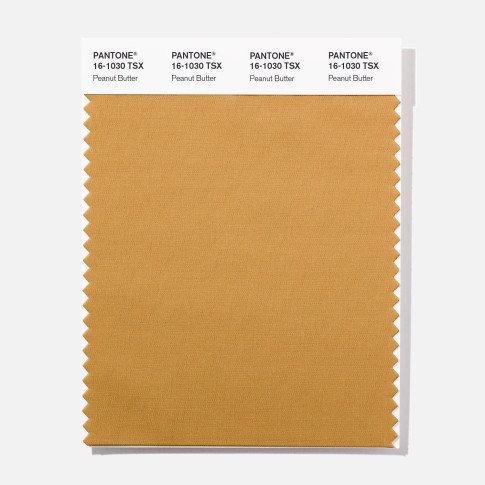 Pantone 16-1030  TSX  Peanut Butte Polyester Swatch Card