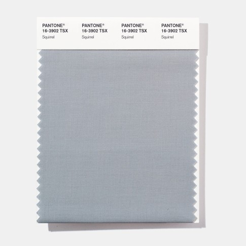 Pantone 16-3902 TSX   Squirrel Polyester Swatch Card
