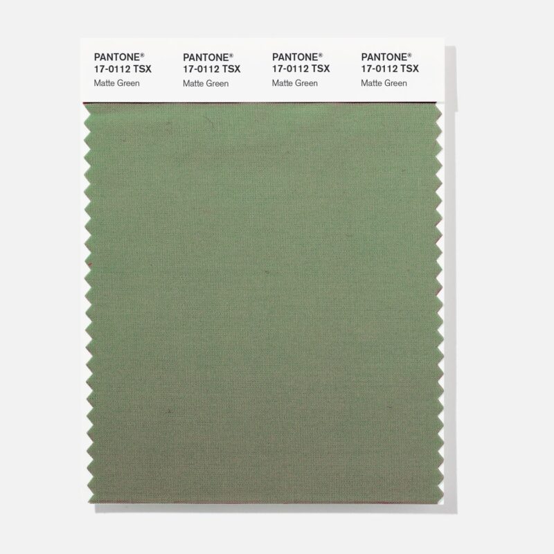 Pantone 17-0112  TSX Matte Green Polyester Swatch Card