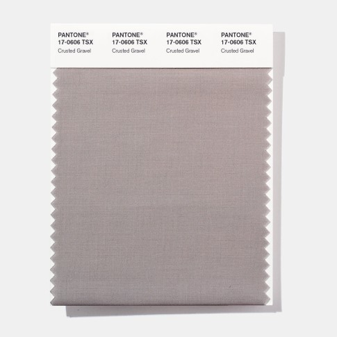Pantone 17-0606 TSX Crusted Grav Polyester Swatch Card