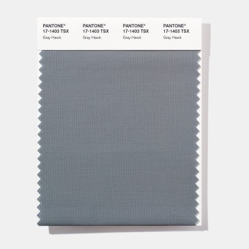 Pantone 17-1403 TSX  Gray Hawk Polyester Swatch Card