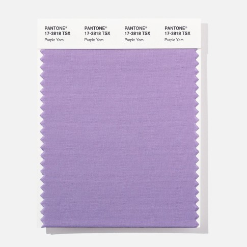 Pantone 17-3818 TSX Purple Yam Polyester Swatch Card