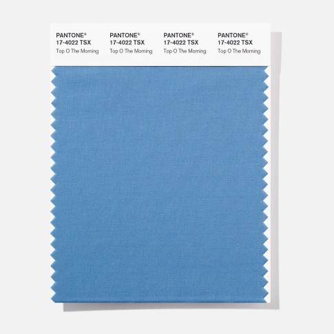 Pantone 17-4022  TSX  Top O The Mo Polyester Swatch Card