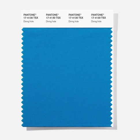 Pantone 17-4130  TSX  Diving Hole Polyester Swatch Card