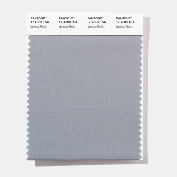 Pantone 17-4303  TSX  Igneous Rock Polyester Swatch Card