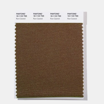Pantone 18-1123  TSX Rum Caramel Polyester Swatch Card