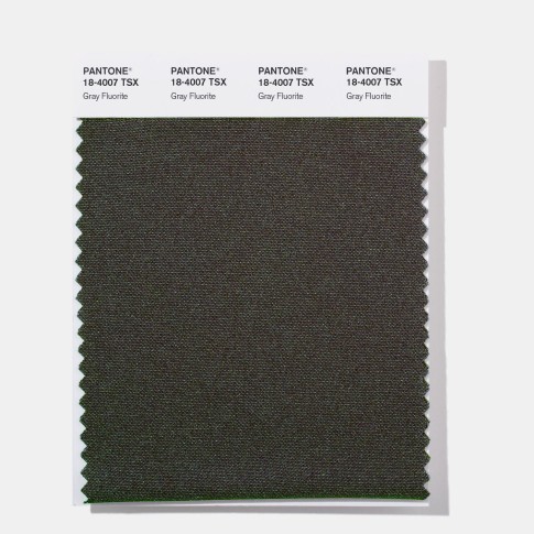 Pantone 18-4007 TSX  Gray Fluorit Polyester Swatch Card