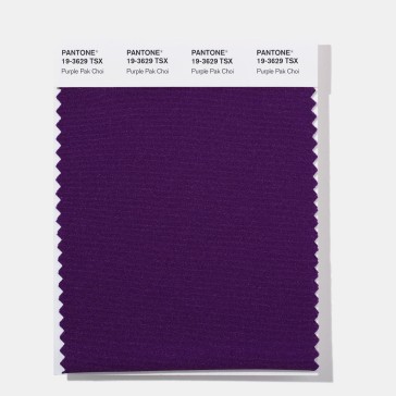 Pantone 19-3629 TSX Purple Pak C  Polyester Swatch Card
