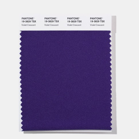 Pantone 19-3829  TSX Violet Cresc Polyester Swatch Card