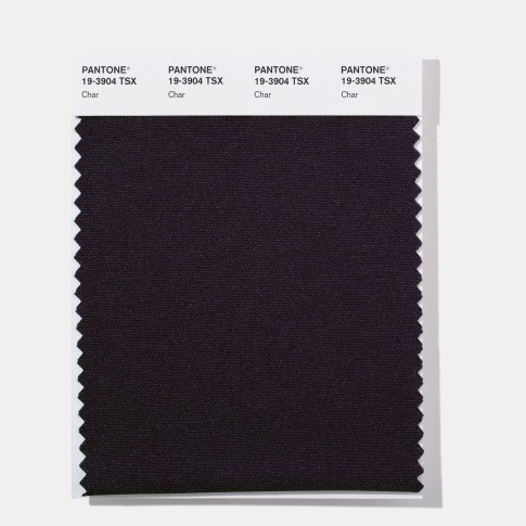 Pantone 19-3904 TSX  Char Polyester Swatch Card