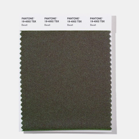 Pantone 19-4002 TSX  Basalt Polyester Swatch Card