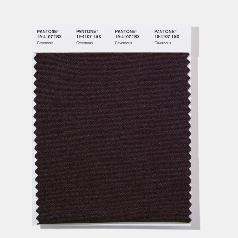 Pantone 19-4107  TSX Cavernous Polyester Swatch Card