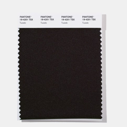 Pantone 19-4201 TSX  Tuxedo  Polyester Swatch Card