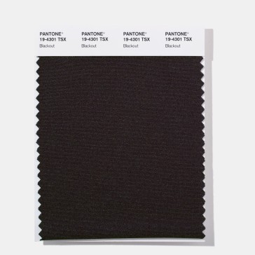 Pantone 19-4301 TSX Blackout  Polyester Swatch Card