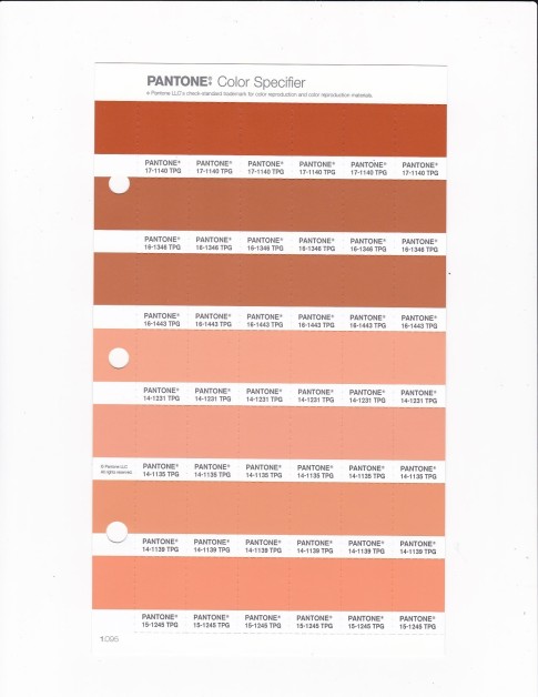 PANTONE 14-1231 TPG  Peach Cobbler Replacement Page (Fashion, Home & Interiors)
