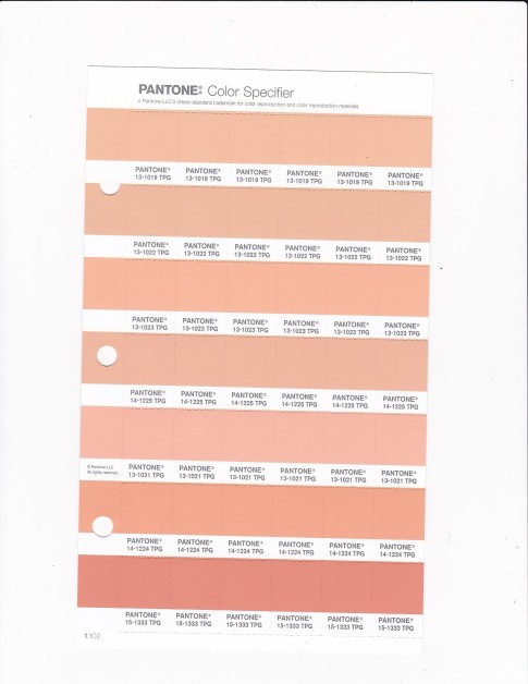PANTONE 13-1023 TPG Peach Fuzz Replacement Page (Fashion, Home & Interiors)