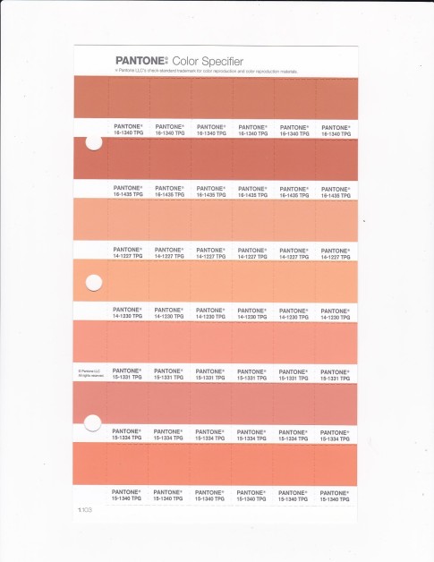 PANTONE 16-1435 TPG Carnelian Replacement Page (Fashion, Home & Interiors)