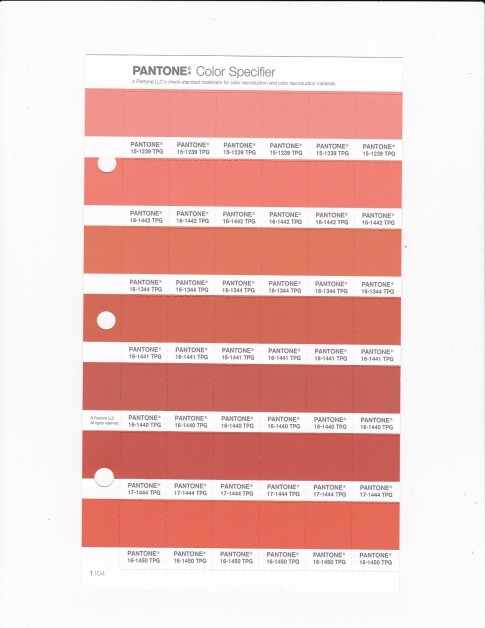 PANTONE 16-1441 TPG Arabesque Replacement Page (Fashion, Home & Interiors)