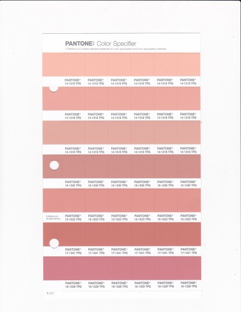 PANTONE 14-1219 TPG Peach Parfait Replacement Page (Fashion, Home & Interiors)