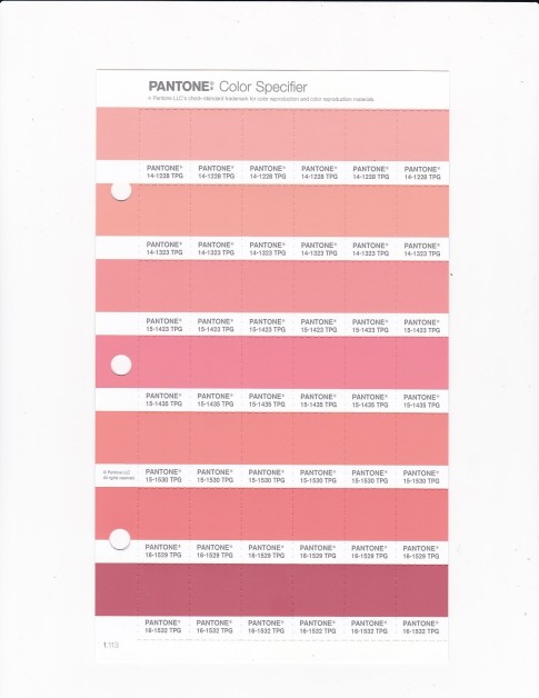 PANTONE 15-1423 TPG Peach Amber Replacement Page (Fashion, Home & Interiors)