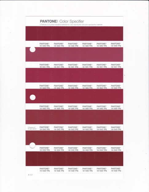 PANTONE 19-1940 TPG Rumba Red Replacement Page (Fashion, Home & Interiors)