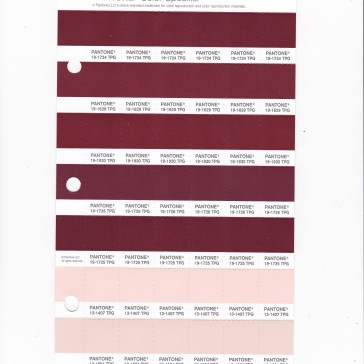 PANTONE 19-1629 TPG Ruby Wine Replacement Page (Fashion, Home & Interiors)