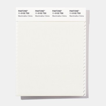 Pantone 18-1624 TSX Redwood Trail Polyester Swatch Card