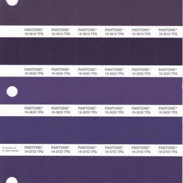 PANTONE 19-3519 TPG Purple Pennant Replacement Page (Fashion, Home & Interiors)
