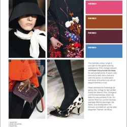 Next Look Women Trends for Autumn Winter ( Style & Color)