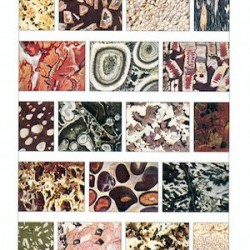 MARBLE Texture DESIGN AND GRAPHIC STYLE BOOK VOL.40 by Belvedere Italy