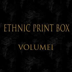 Ethnic Print Box Vol 1 Design Book | Lingerie, Tunics, Skirts & Kurti Prints & Patterns Book (PSD)
