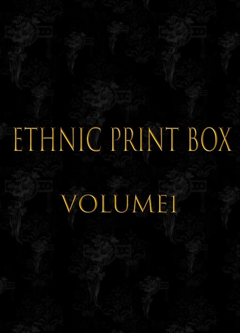 Ethnic Print Box Vol 1 Design Book | Lingerie, Tunics, Skirts & Kurti Prints & Patterns Book (PSD)