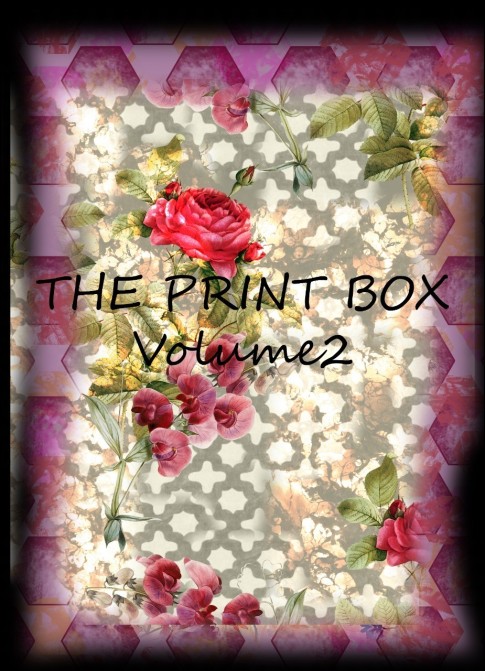 The Print Box Vol.2 | Abstract & Geometric Ethnic Flower Pattern Book