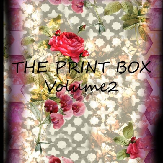 The Print Box Vol.2 | Abstract & Geometric Ethnic Flower Pattern Book