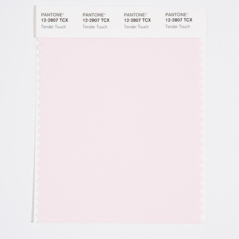 Pantone 12-2807 TCX Swatch Card Tender Touch