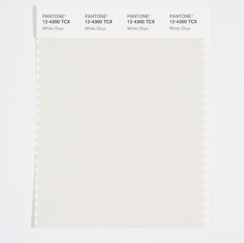 Pantone 12-4300 TCX Swatch Card White Onyx