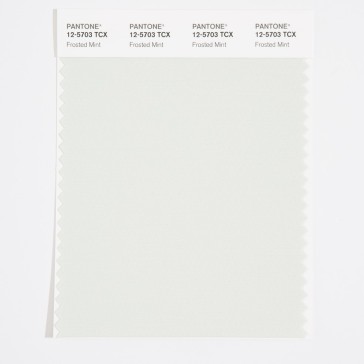 Pantone 12-5207 TCX Swatch Card Frosted Mint