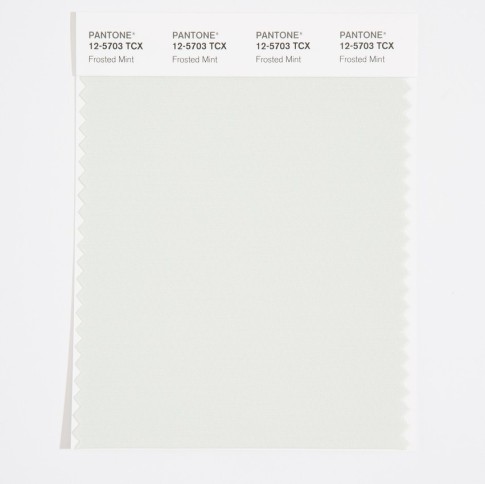 Pantone 12-5207 TCX Swatch Card Frosted Mint