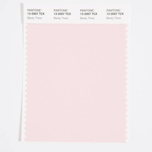 Pantone 13-2007 TCX Swatch Card Barely There