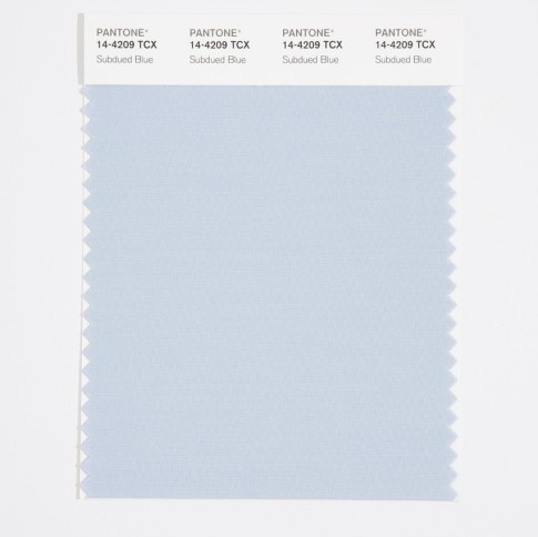 Pantone 14-4209 TCX Swatch Card Subdued Blue