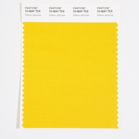 Pantone 15-0647 TCX Swatch Card Yellow Jasmine