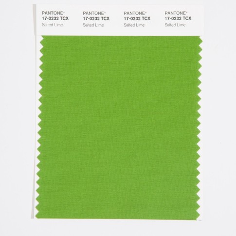 Pantone 17-0232 TCX Swatch Card Salted Lime