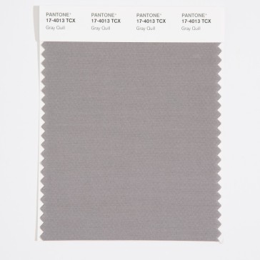 Pantone 17-4013 TCX Swatch Card Gray Quill