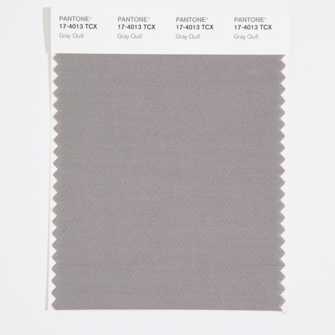 Pantone 17-4013 TCX Swatch Card Gray Quill