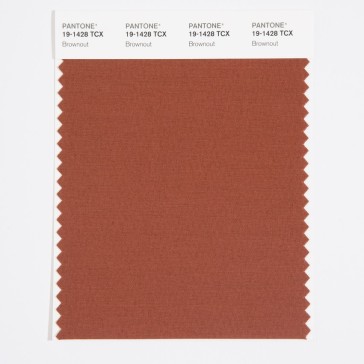Pantone 19-1428 TCX Swatch Card Brown Out