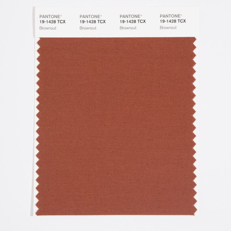 Pantone 19-1428 TCX Swatch Card Brown Out