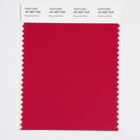Pantone 19-1657 TCX Swatch Card Karanda Red
